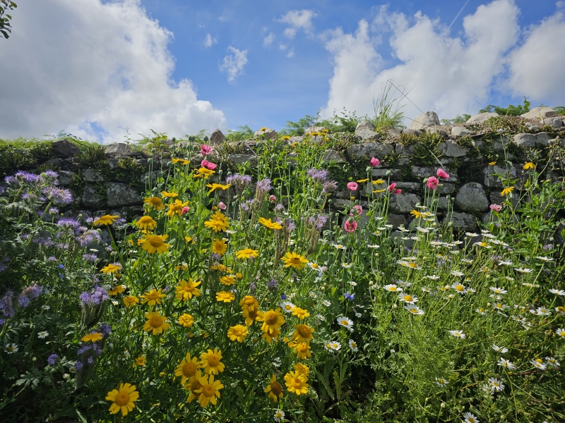 Neuadd Stone Barn